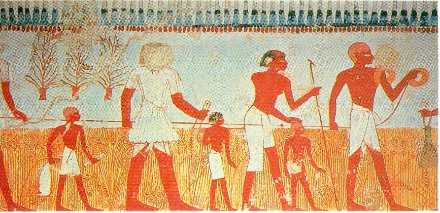 agriculture in ancient times