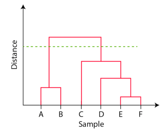 Find the number of clusters